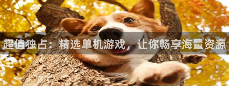 亿万28子教育科技有限公司：超值独占：精选单机游戏，让你畅享海量资源