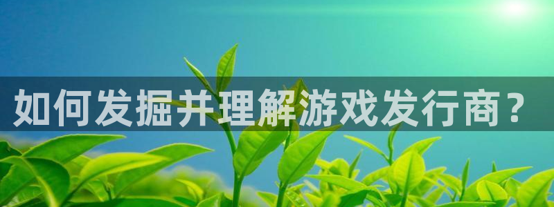 亿万28庄园：如何发掘并理解游戏发行商？