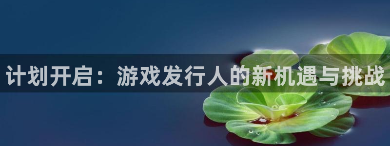 广东亿万28电商bruno：计划开启：游戏发行人的新机遇与挑战