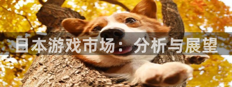顺德亿万28电商：日本游戏市场：分析与展望