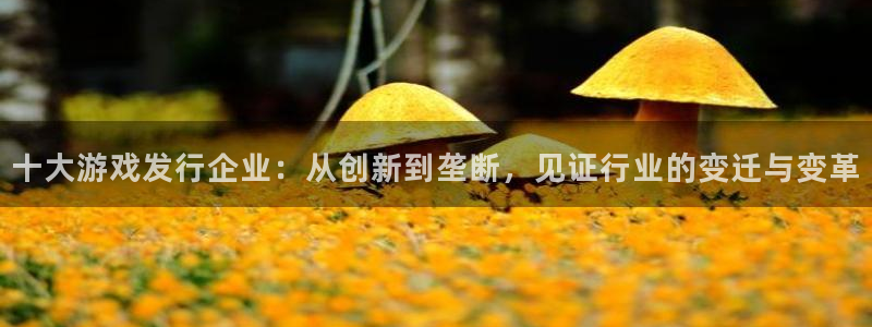亿万28子出版社：十大游戏发行企业：从创新到垄断，见证行业的变迁与变革