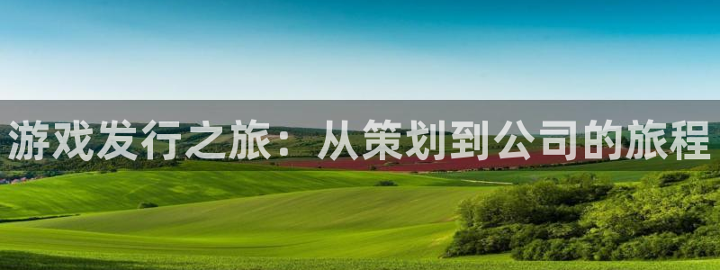 亿万28的寓意：游戏发行之旅：从策划到公司的旅程