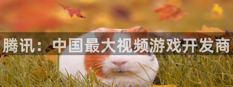 广东亿万28电子科技有限公司 联系电话