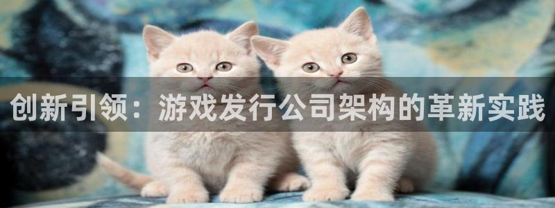 亿万28电子科技怎么样：创新引领：游戏发行公司架构的革新实践