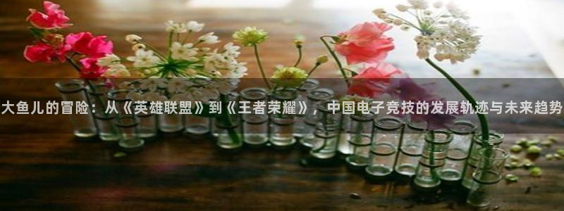 亿万28仓储中心：大鱼儿的冒险：从《英雄联盟》到《王者荣耀》，中国电子竞技的发展轨迹与未来趋势