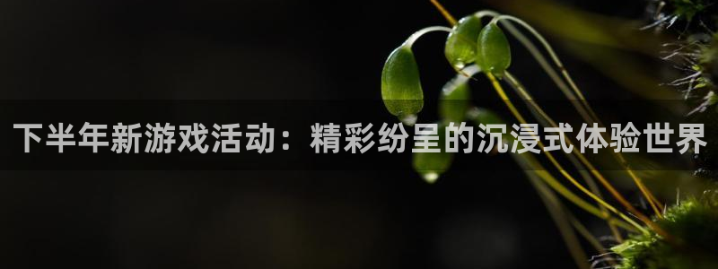 亿万28官网的钱能提出来吗：下半年新游戏活动：精彩纷呈的沉浸式体验世界