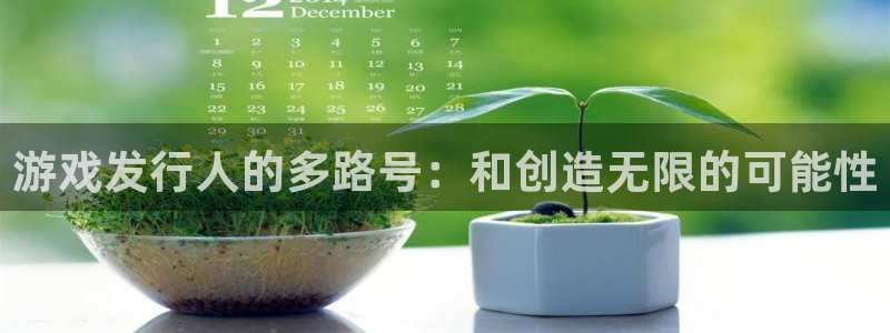亿万28官网登录注册账号安全吗安全吗：游戏发行人的多路号：和创造无限的可能性