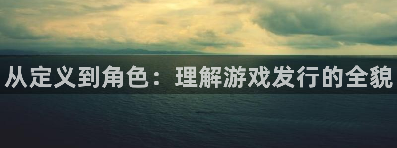 lvnces亿万28衣服：从定义到角色：理解游戏发行的全貌