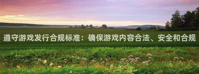 亿万28官网注册平台是什么意思：遵守游戏发行合规标准：确保游戏内容合法、安全和合规