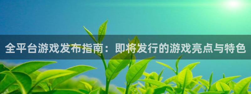 亿万28官网登录注册：全平台游戏发布指南：即将发行的游戏亮点与特色