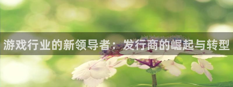 亿万28官网平台怎么样啊：游戏行业的新领导者：发行商的崛起与转型