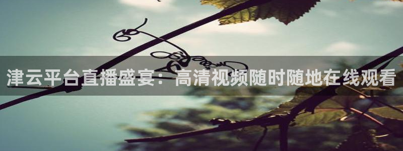 山猫体育免费直播发展联盟：津云平台直播盛宴：高清视频随时随地在线观看