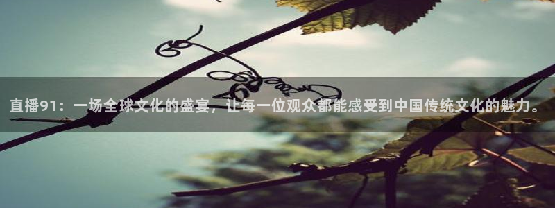 山猫体育足球比赛直播：直播91：一场全球文化的盛宴，让每一位观众都能感受到中国传统文化的魅力。