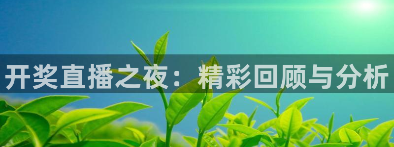山猫体育在线观看：开奖直播之夜：精彩回顾与分析